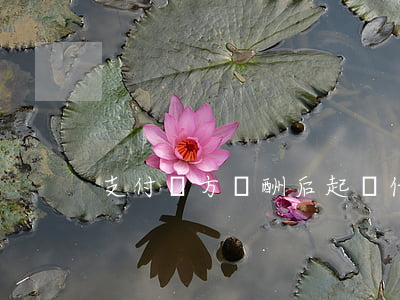 支付對方報酬后起訴借錢(對方支付訴訟費)