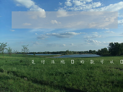 支付法院標的款可以稅前扣除嗎