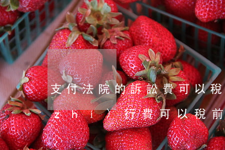 支付法院的訴訟費可以稅前扣除嗎(法院執(zhí)行費可以稅前扣除嗎)