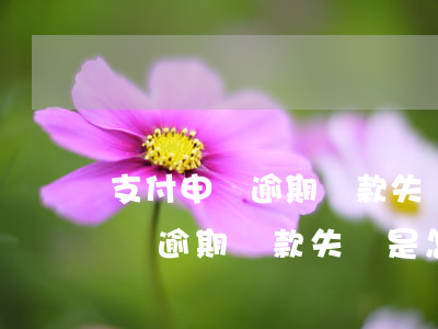 支付申請逾期還款失敗是怎么回事-支付申請逾期還款失敗是怎么回事啊