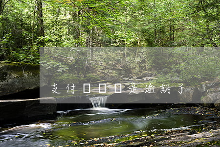 支付訴訟費是逾期了