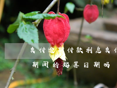 支付逾期付款利息(支付逾期付款利息是保证期间的起算日期吗)