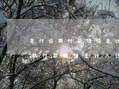 支付逾期付款赔偿金计入什么科目-支付逾期付款赔偿金计入什么科目里