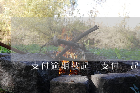支付逾期被起訴(支付寶起訴逾期)