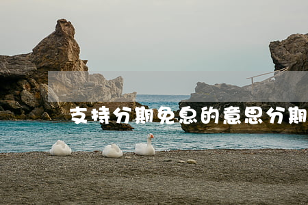 支持分期免息的意思(分期享受免息期嗎)