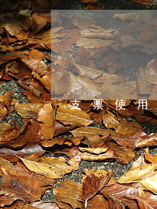 支票使用中需注意問題有哪些