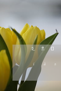 支票兌換現(xiàn)金(支票兌換現(xiàn)金麻煩嗎)