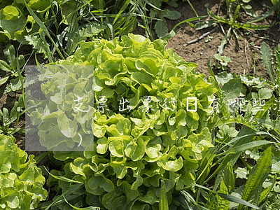 支票出票行為有哪些注意事項(xiàng)