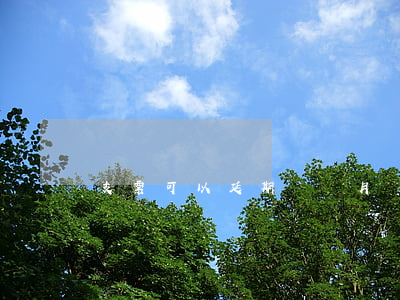 支票可以延期幾個月嗎(支票能過期嗎)