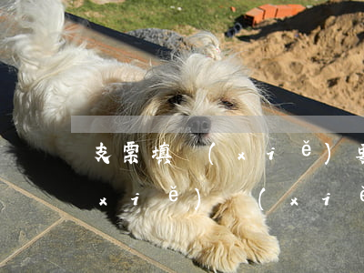 支票填寫(xiě)要求以及人民幣大寫(xiě)寫(xiě)法是怎樣的