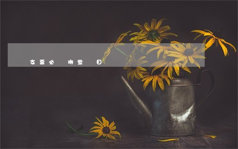 支票必備哪些項目