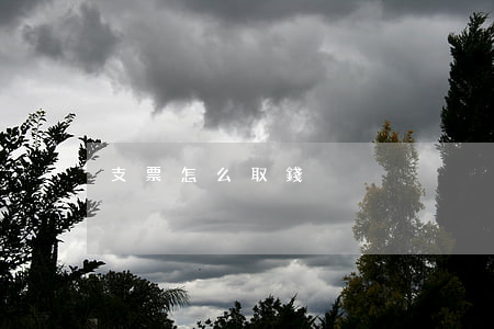 支票怎么取錢