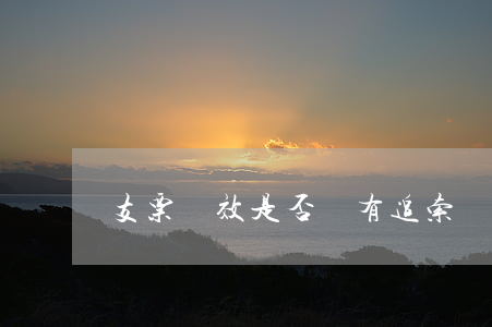 支票無效是否還有追索權