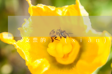 支票的兌現(xiàn)方法有哪些