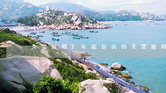 支票逾期3年能起诉吗(支票逾期了一天还能兑吗)