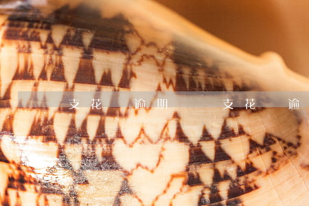 支花唄逾期沒還(支花唄逾期沒還)