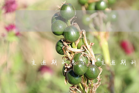 支逾期利息分錄(支逾期利息分錄)