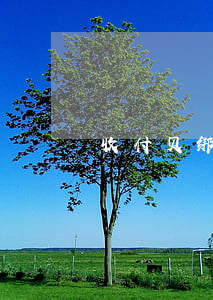 收付贝绑定pos机逾期什么意思
