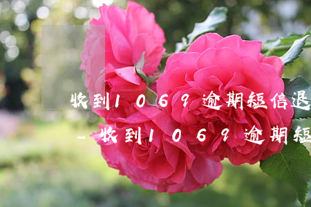 收到1069逾期短信退訂回復(fù)T-收到1069逾期短信退訂回復(fù)T