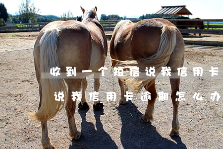 收到一个短信说我信用卡逾期(收到一个短信说我信用卡逾期怎么办)