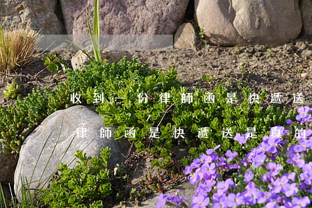 收到一份律師函是快遞送是真的嗎(收到一份律師函是快遞送是真的嗎)