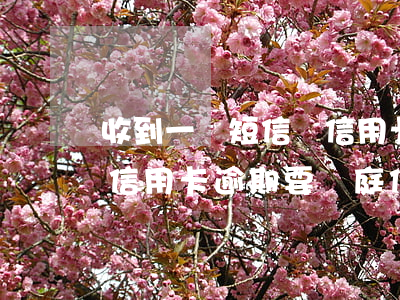 收到一條短信說信用卡逾期(收到一條短信說信用卡逾期要開庭信息)