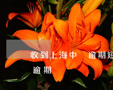 收到上海中犇逾期短信(上海打來電話說我有逾期)