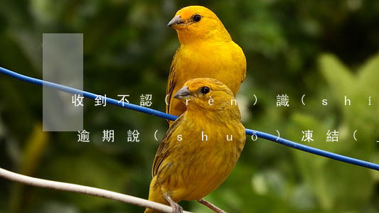 收到不認(rèn)識(shí)的人貸款逾期說(shuō)凍結(jié)我的資金-收到不認(rèn)識(shí)的人貸款逾期說(shuō)凍結(jié)我的資金是真的嗎