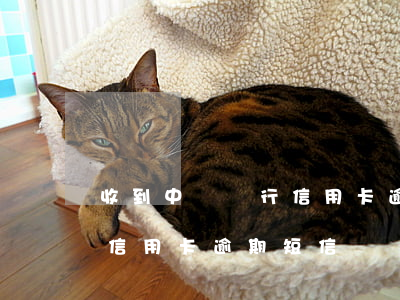 收到中國銀行信用卡逾期短信(收到中國銀行信用卡逾期短信)