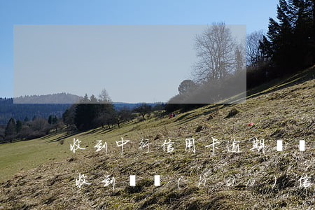 收到中行信用卡逾期掛號(hào)信(突然收到掛號(hào)信 沒(méi)有申請(qǐng)過(guò)信用卡)