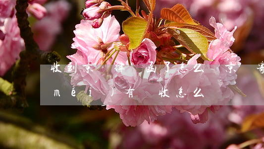 收到京東律師函了怎么辦(京東寄律師函沒(méi)有簽收怎么辦)