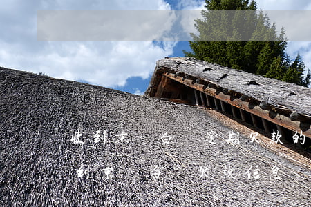 收到京東白條逾期欠款的短信(為什么老是收到京東白條欠款信息)