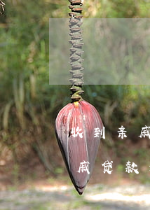 收到亲戚贷款逾期的信息怎么回事-收到亲戚贷款逾期的信息怎么回事呢