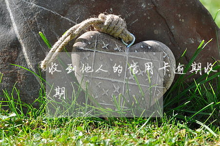 收到他人的信用卡逾期(收到他人的信用卡逾期)