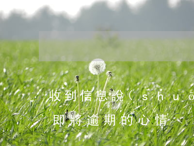 收到信息說(shuō)信用卡逾期（信用卡即將逾期的心情）