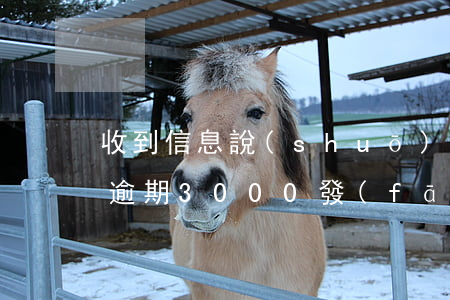 收到信息說(shuō)信用卡逾期（信用卡逾期3000發(fā)信息說(shuō)報(bào)案）