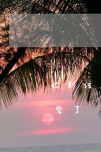 收到信息說我信用卡逾期了(信用卡逾期說報警了)