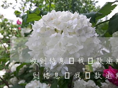 收到信息說我貸款逾期但不是我的名字-收到信息說我貸款逾期但不是我的名字是真的嗎
