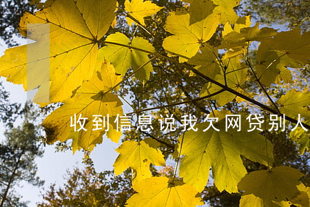 收到信息说我欠网贷(别人欠网贷我收到短信)