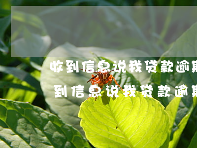 收到信息说我贷款逾期根本没这个平台-收到信息说我贷款逾期根本没这个平台了