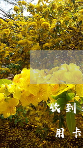 收到信用卡催款單會被起訴立案嗎-收到信用卡催款單會被起訴立案嗎知乎