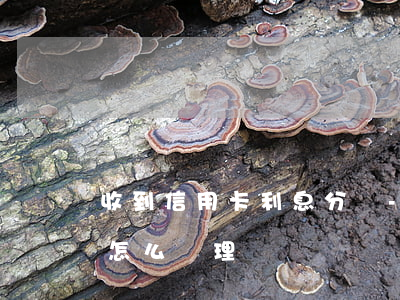 收到信用卡利息分錄-收到信用卡利息分錄怎么處理