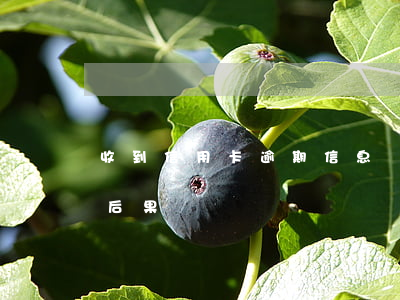 收到信用卡逾期信息會嚴重嗎-信用卡 逾期 后果