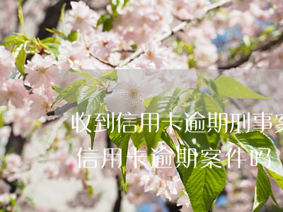 收到信用卡逾期刑事案件开庭的(公安局受理信用卡逾期案件吗)