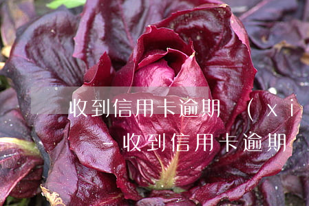收到信用卡逾期協(xié)商郵件是真的嗎-收到信用卡逾期協(xié)商郵件是真的嗎嗎