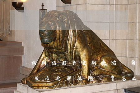 收到信用卡逾期法院傳票怎么解決-收到信用卡逾期法院傳票怎么解決呢