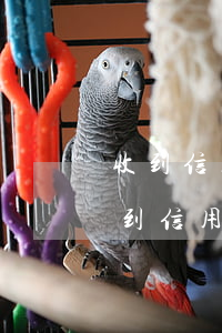 收到信用卡逾期的短信,但名字不是我的-收到信用卡逾期的短信,但名字不是我的怎么辦