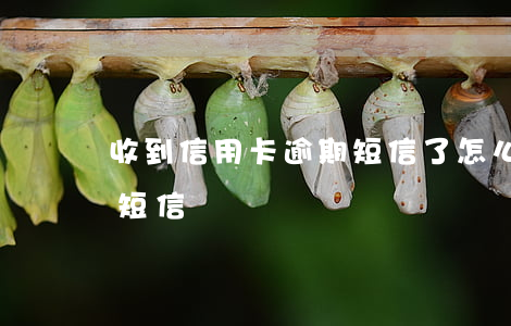 收到信用卡逾期短信了怎么處理(信用卡逾期短信)