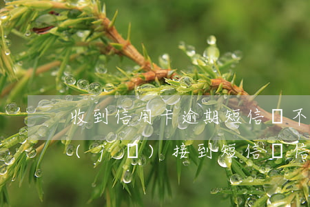 收到信用卡逾期短信還不是我的名字-手機(jī)接到短信說信用卡逾期 但姓名不是我的