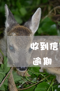 收到信用卡逾期立案公告(收到信息說信用卡逾期)